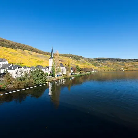 Weingutshotel Piesporter Goldtroepfchen Hotell 3*