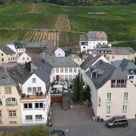Weingutshotel Piesporter Goldtroepfchen فندق 3*