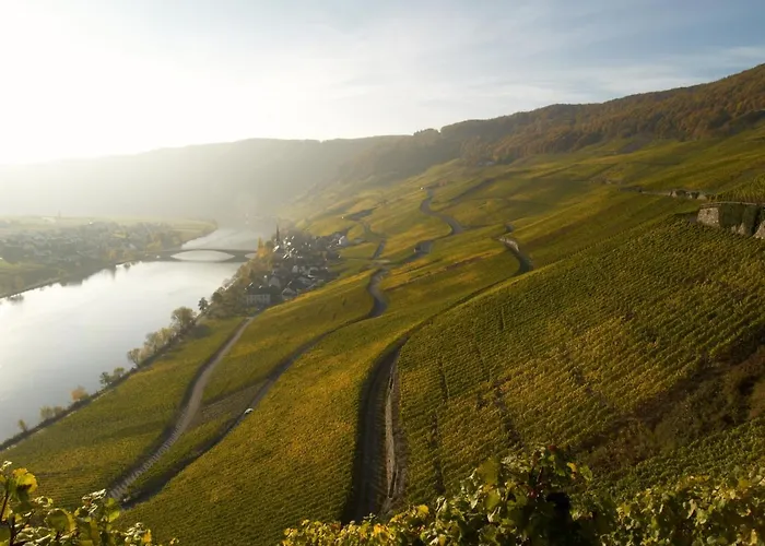 Weingutshotel Piesporter Goldtroepfchen 3* بيزبورت