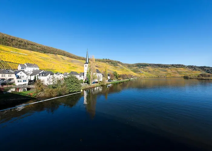 Weingutshotel Piesporter Goldtroepfchen فندق 3*