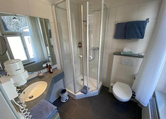 Weingutshotel Piesporter Goldtroepfchen מלון פיספורט