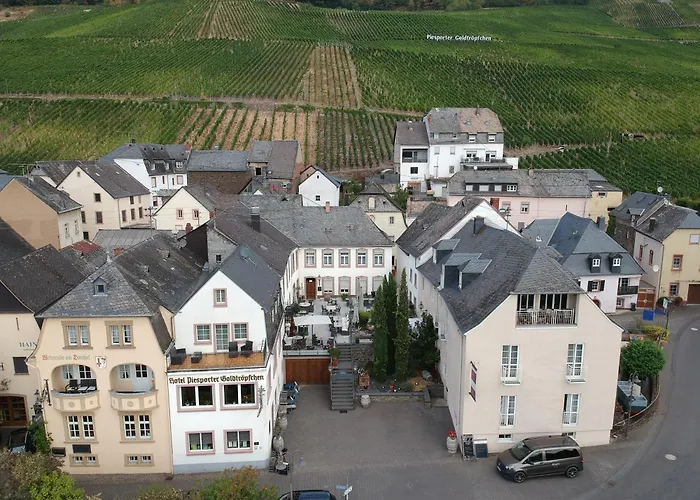 Weingutshotel Piesporter Goldtroepfchen فندق 3*